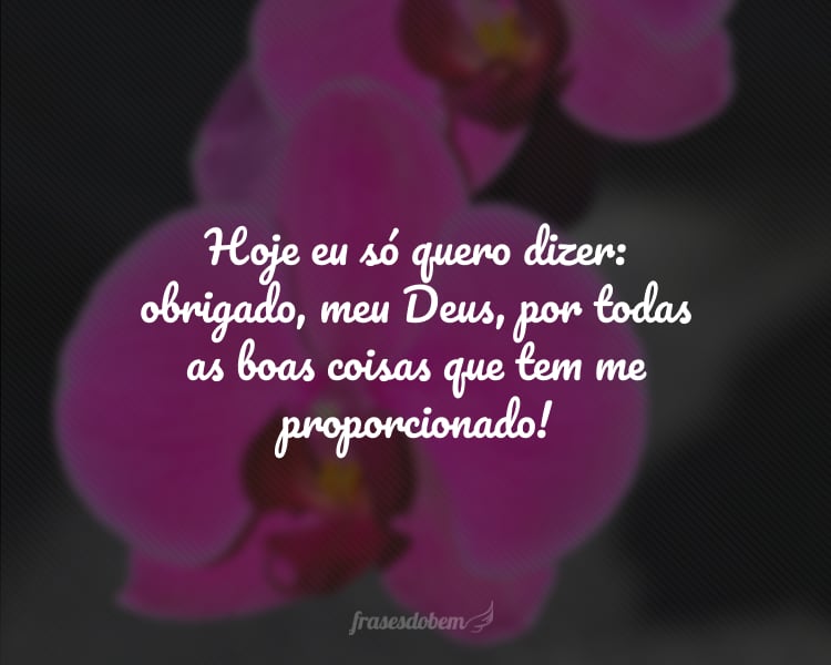 Hoje eu só quero dizer: obrigado, meu Deus, por todas as boas coisas que tem me proporcionado!