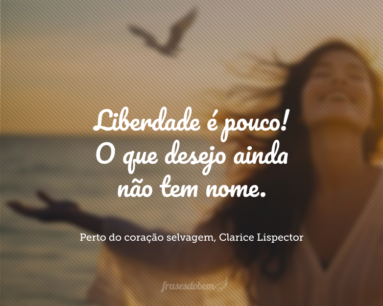 Liberdade é pouco! O que desejo ainda não tem nome.