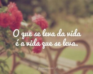 O que se leva da vida é a vida que se leva.