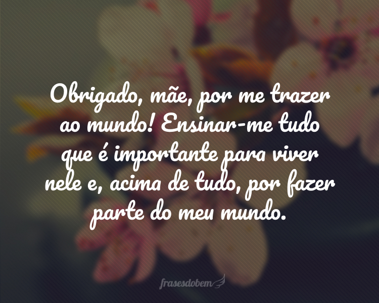 Obrigado, mãe, por me trazer ao mundo! Ensinar-me tudo que é importante para viver nele e, acima de tudo, por fazer parte do meu mundo.