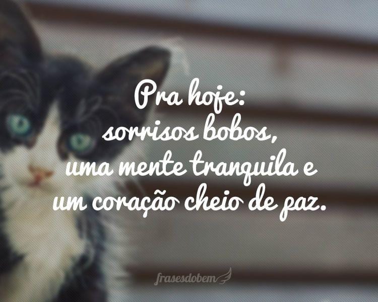 Pra hoje: sorrisos bobos, uma mente tranquila e um coração cheio de paz.