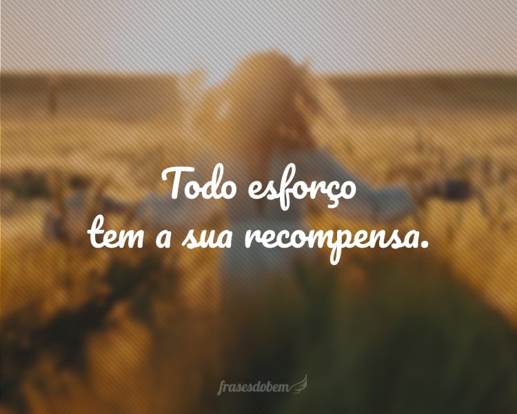 Todo esforço tem a sua recompensa.