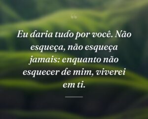 Eu daria tudo por você. Não esqueça, não esqueça jamais: enquanto não esquecer de mim, viverei em ti.