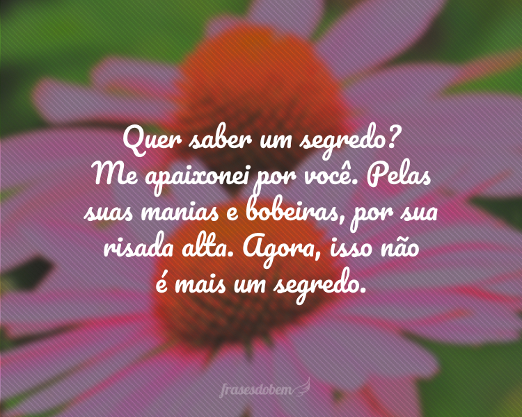 Quer saber um segredo? Me apaixonei por você. Pelas suas manias e bobeiras, por sua risada alta. Agora, isso não é mais um segredo.