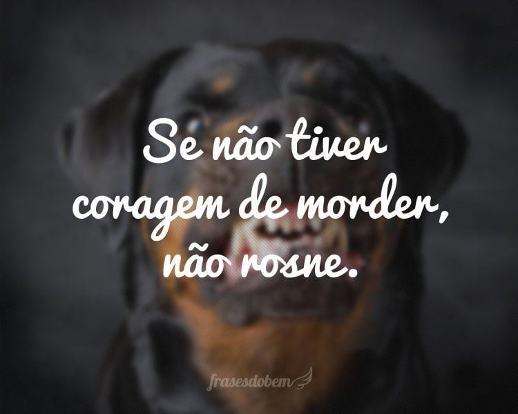 Se não tiver coragem de morder, não rosne.