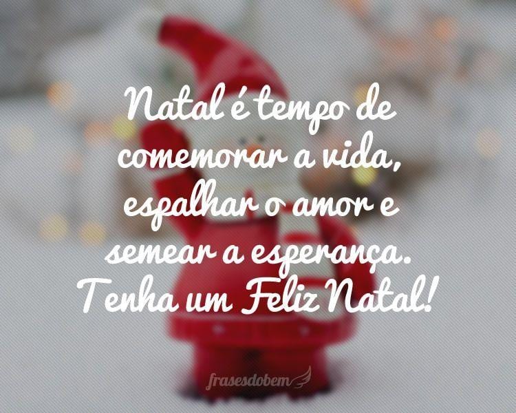 Natal é tempo de comemorar a vida, espalhar o amor e semear a esperança. Tenha um Feliz Natal!