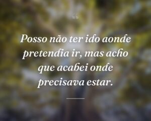 Posso não ter ido aonde pretendia ir, mas acho que acabei onde precisava estar.
