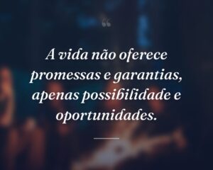 A vida não oferece promessas e garantias, apenas possibilidade e oportunidades.