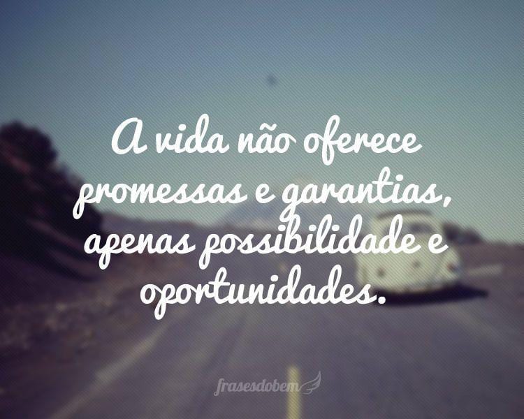 A vida não oferece promessas e garantias, apenas possibilidade e oportunidades.