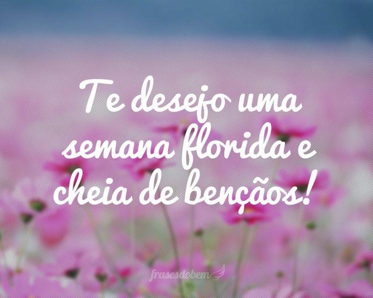 Te desejo uma semana florida e cheia de bençãos!