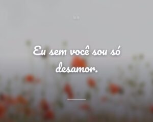 Eu sem você sou só desamor.