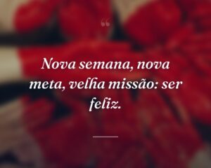 Nova semana, nova meta, velha missão: ser feliz.