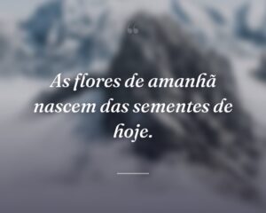 As flores de amanhã nascem das sementes de hoje.