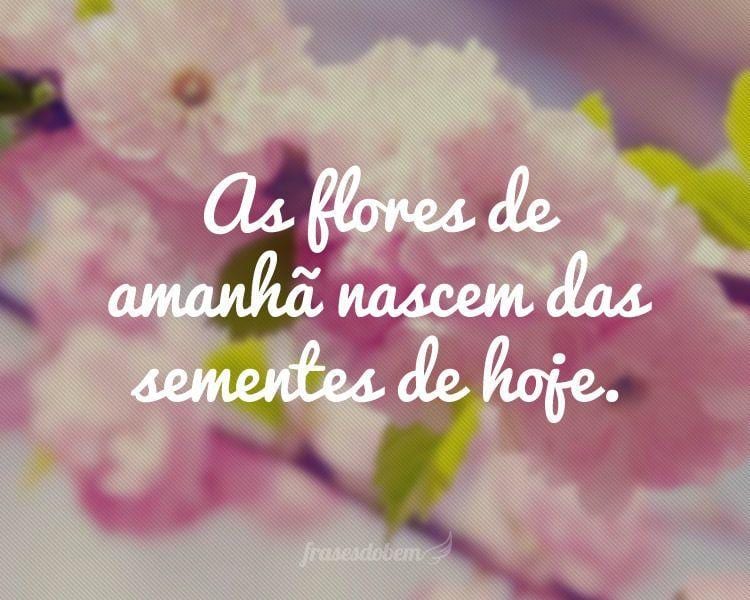 As flores de amanhã nascem das sementes de hoje.