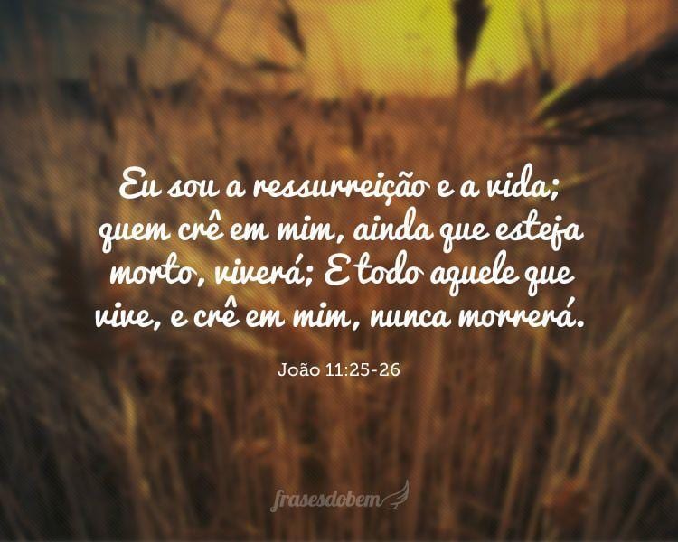 João 11:25-26 Então Jesus afirmou: — Eu sou a ressurreição e a vida. Quem  crê em mim, ainda que morra, viverá; e quem vive e crê em mim nunca m…