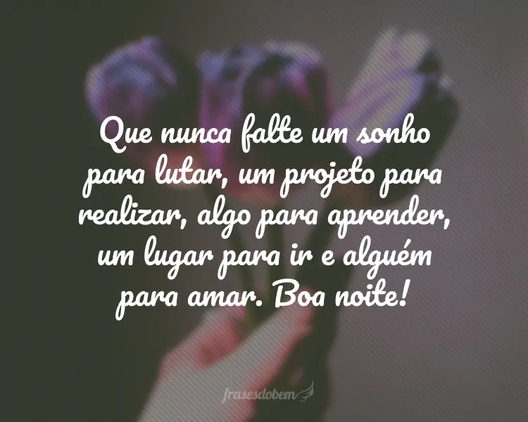 Que nunca falte um sonho para lutar, um projeto para realizar, algo para aprender, um lugar para ir e alguém para amar. Boa noite!