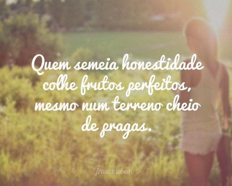 Quem semeia honestidade colhe frutos perfeitos, mesmo num terreno cheio de pragas.