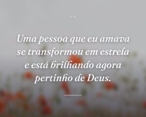 Uma pessoa que eu amava se transformou em estrela e está brilhando agora pertinho de Deus.