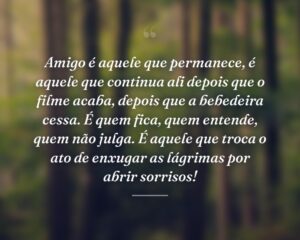 Amigo é aquele que permanece, é aquele que continua ali depois que o filme acaba, depois que a bebedeira cessa. É quem fica, quem entende, quem não julga. É aquele que troca o ato de enxugar as lágrimas por abrir sorrisos!