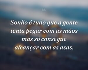 Sonho é tudo que a gente tenta pegar com as mãos mas só consegue alcançar com as asas.