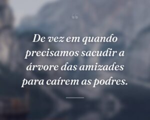 De vez em quando precisamos sacudir a árvore das amizades para caírem as podres.