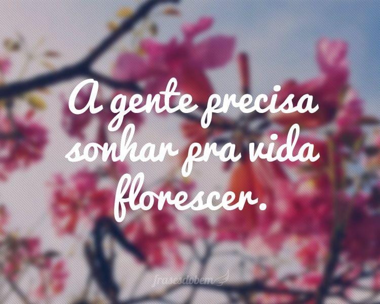 A gente precisa sonhar pra vida florescer.