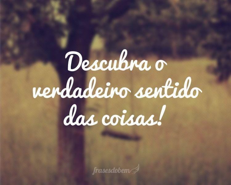 Descubra o verdadeiro sentido das coisas!
