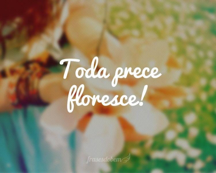 Toda prece floresce!