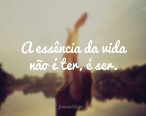 A essência da vida não é ter, é ser.