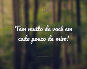 Tem muito de você em cada pouco de mim!