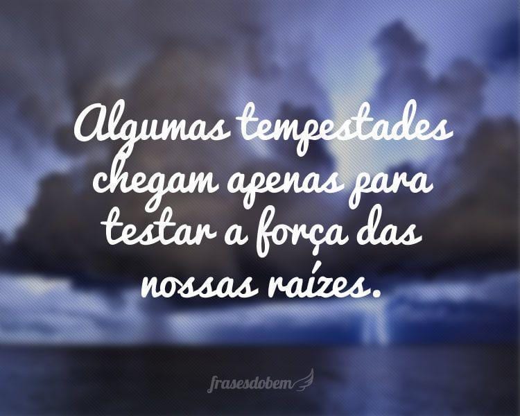 Algumas tempestades chegam apenas para testar a força das nossas raízes.