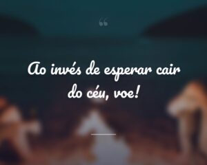 Ao invés de esperar cair do céu, voe!