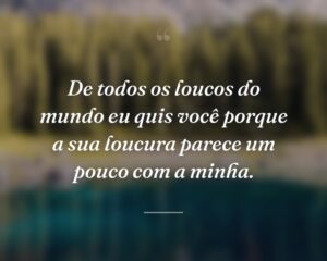 De todos os loucos do mundo eu quis você porque a sua loucura parece um pouco com a minha.