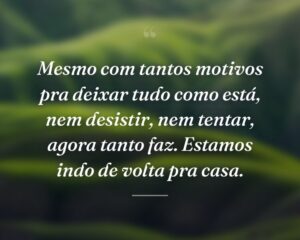 Mesmo com tantos motivos pra deixar tudo como está, nem desistir, nem tentar, agora tanto faz. Estamos indo de volta pra casa.