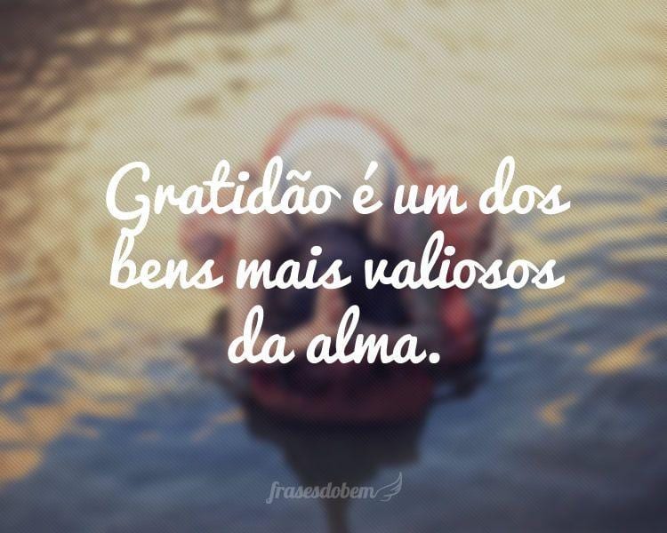 Gratidão é um dos bens mais valiosos da alma.

 