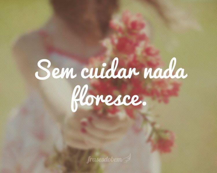 Sem cuidar nada floresce.

 