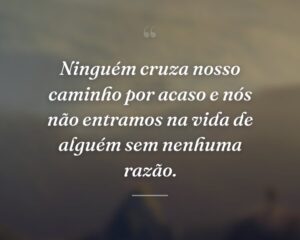 Ninguém cruza nosso caminho por acaso e nós não entramos na vida de alguém sem nenhuma razão.

 