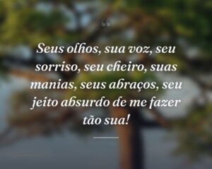 Seus olhos, sua voz, seu sorriso, seu cheiro, suas manias, seus abraços, seu jeito absurdo de me fazer tão sua!

 