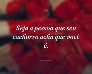 Seja a pessoa que seu cachorro acha que você é.