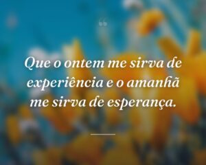 Que o ontem me sirva de experiência e o amanhã me sirva de esperança.