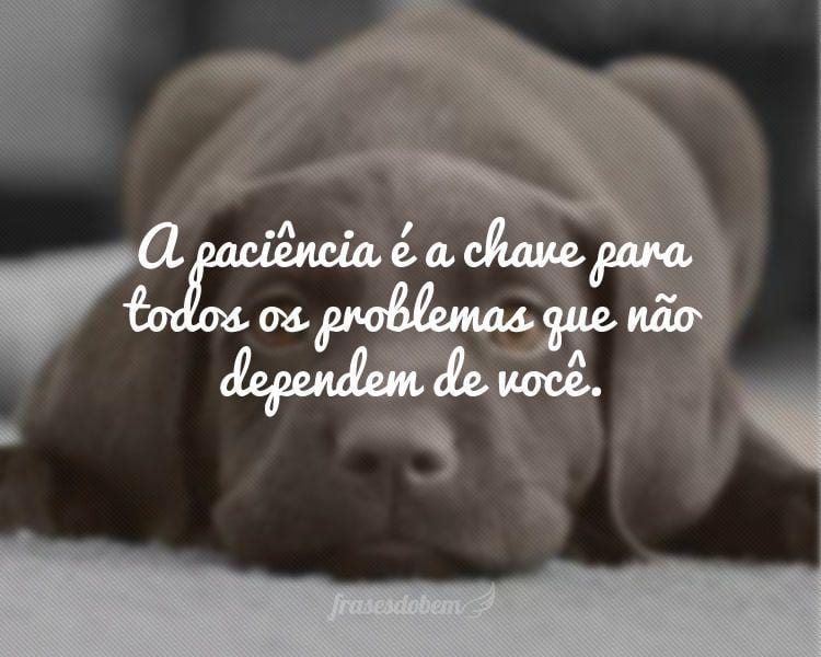 A paciência é a chave para todos os problemas que não dependem de você.