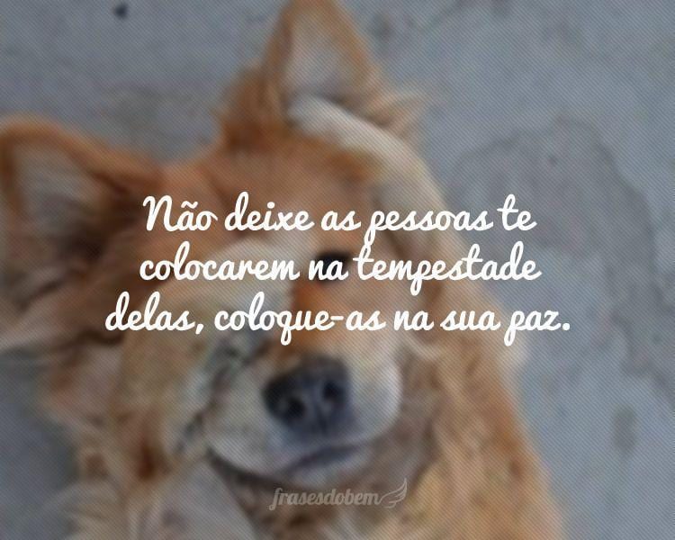 Não deixe as pessoas te colocarem na tempestade delas, coloque-as na sua paz.