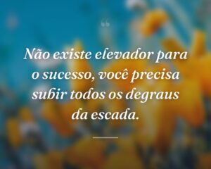 Não existe elevador para o sucesso, você precisa subir todos os degraus da escada.