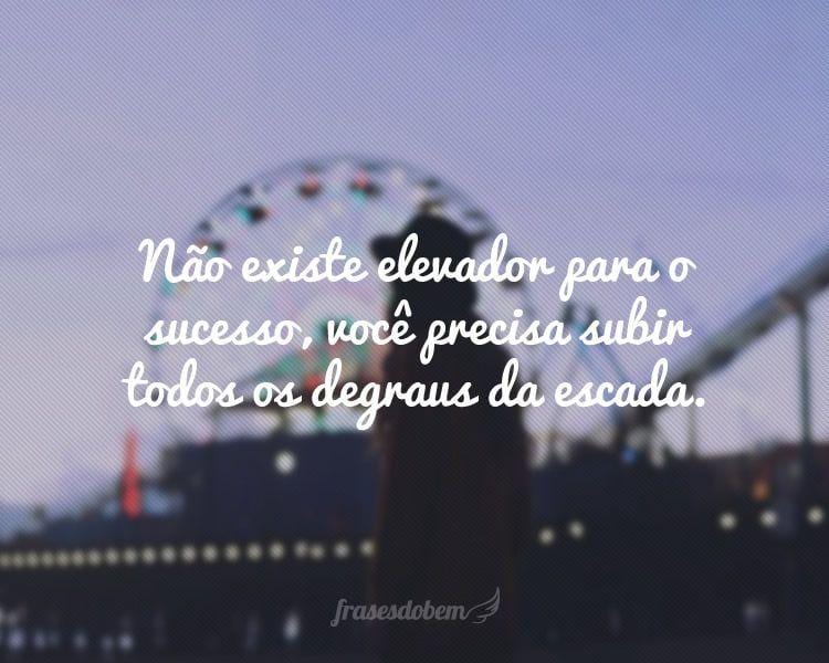 Não existe elevador para o sucesso, você precisa subir todos os degraus da escada.