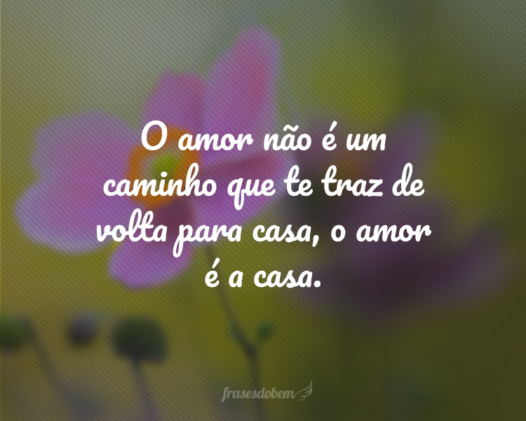 O amor não é um caminho que te traz de volta para casa, o amor é a casa.