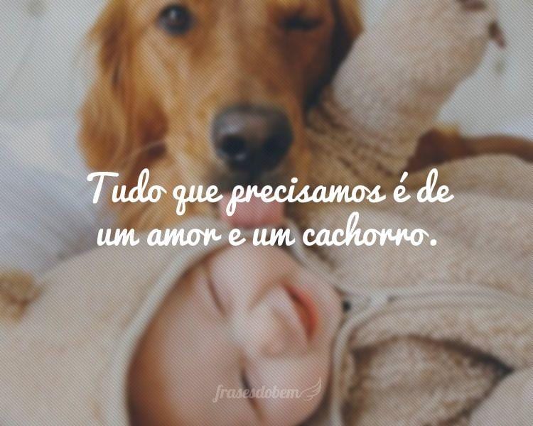 Tudo que precisamos é de um amor e um cachorro.
