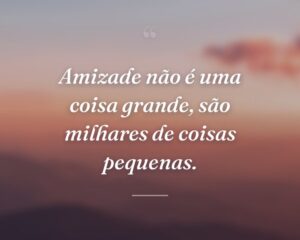 Amizade não é uma coisa grande, são milhares de coisas pequenas.