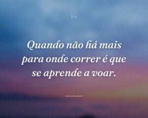 Quando não há mais para onde correr é que se aprende a voar.