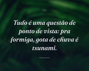Tudo é uma questão de ponto de vista: pra formiga, gota de chuva é tsunami.