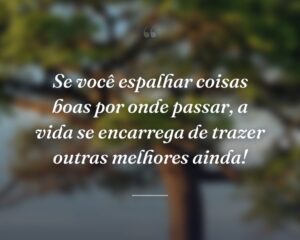 Se você espalhar coisas boas por onde passar, a vida se encarrega de trazer outras melhores ainda!